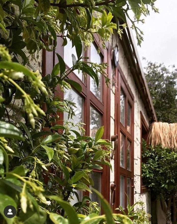 ZEVKLİLER ALAÇATI boutique hotel&fine dining Extérieur photo